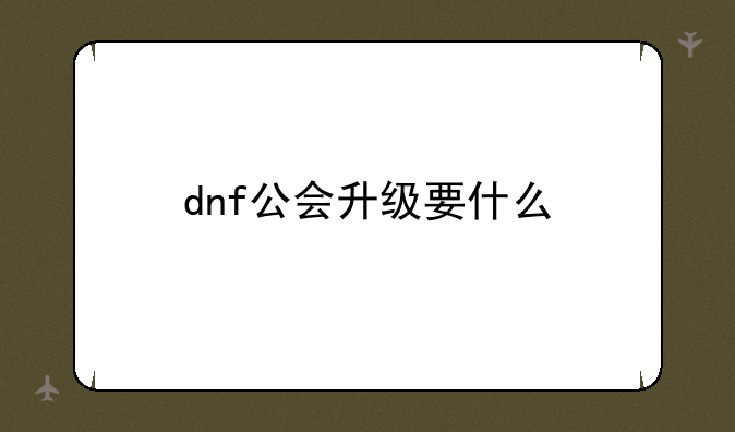 dnf公会升级要什么