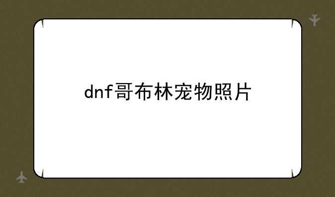 dnf哥布林宠物照片