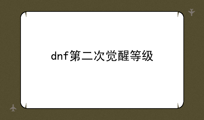 dnf第二次觉醒等级