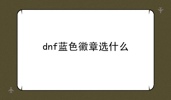 dnf蓝色徽章选什么