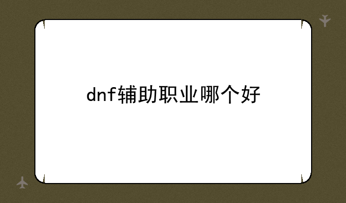 dnf辅助职业哪个好