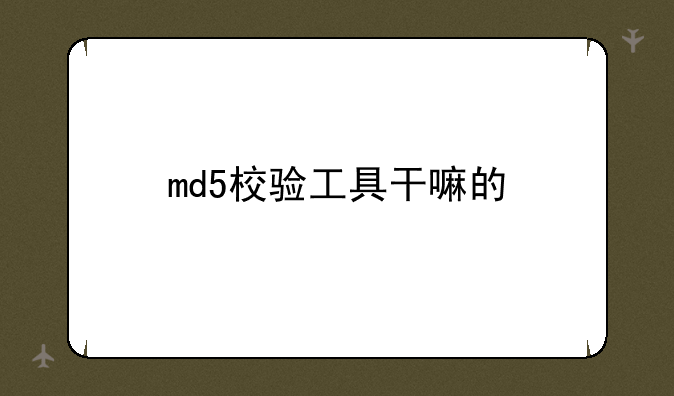 md5校验工具干嘛的