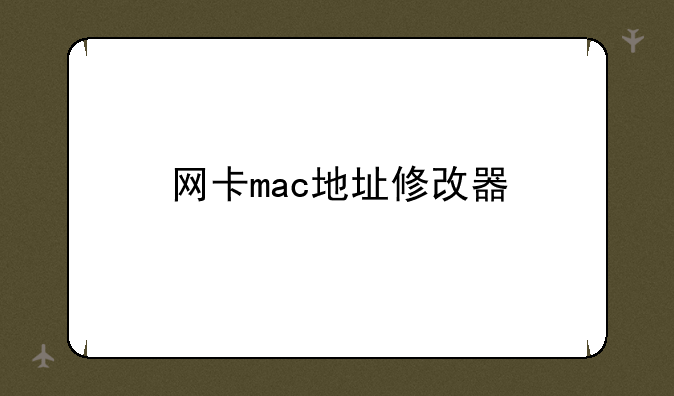 网卡mac地址修改器