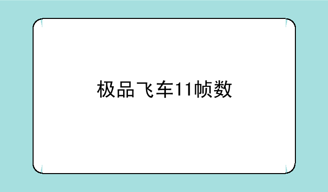 极品飞车11帧数