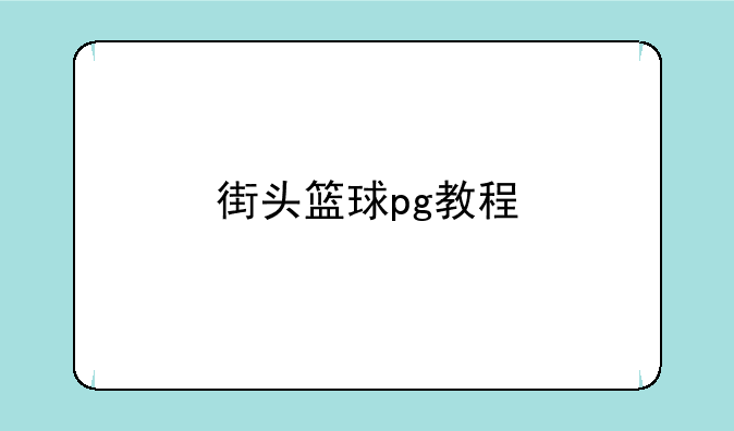 街头篮球pg教程