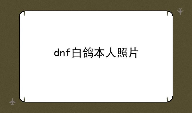 dnf白鸽本人照片