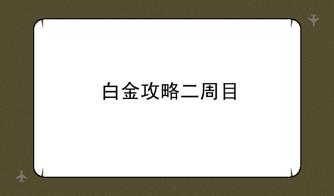 白金攻略二周目