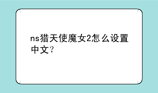 ns猎天使魔女2怎么设置中文？