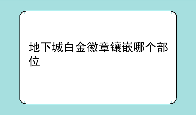 地下城白金徽章镶嵌哪个部位