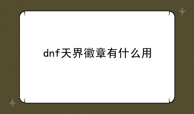 dnf天界徽章有什么用