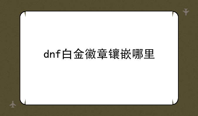 dnf白金徽章镶嵌哪里