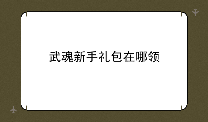 武魂新手礼包在哪领