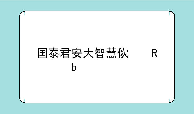 国泰君安大智慧使用说明