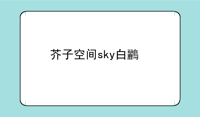 芥子空间sky白鸟版安卓APK