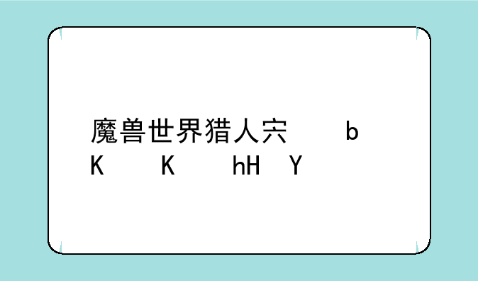 魔兽世界猎人宏是什么意思