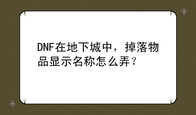 DNF在地下城中，掉落物品显示名称怎么弄？