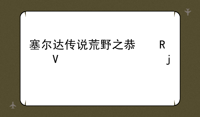 塞尔达传说荒野之息攻略被冲走的妻子