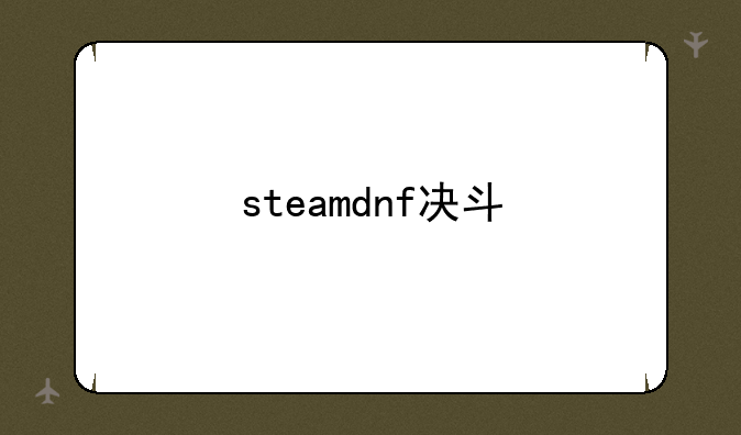 steamdnf决斗