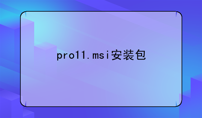 pro11.msi安装包