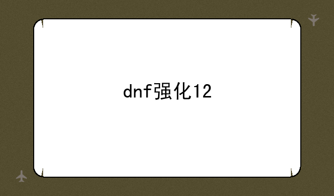 dnf强化12