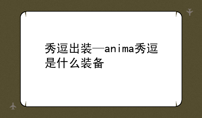 秀逗出装—anima秀逗是什么装备