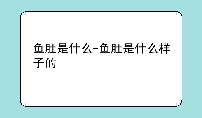 鱼肚是什么-鱼肚是什么样子的