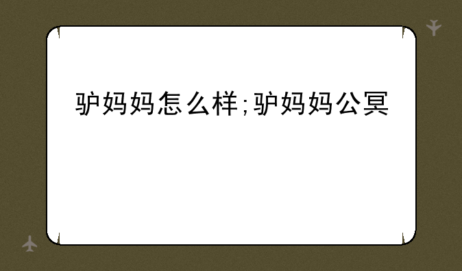 驴妈妈怎么样;驴妈妈公司怎么样